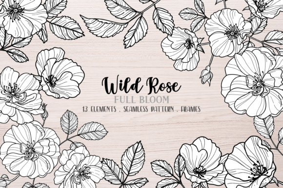 Download Vector Wild Rose Clipart, Black Line - Black Collection